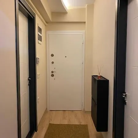 Stone With Beautiful View In Heart Of