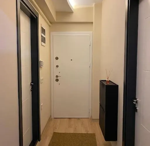 Stone With Beautiful View In Heart Of